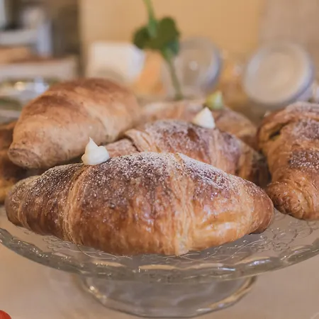 게스트하우스 사비니리카