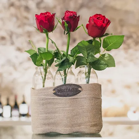 사비니리카 게스트하우스