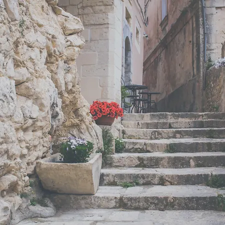 게스트하우스 사비니리카 4*