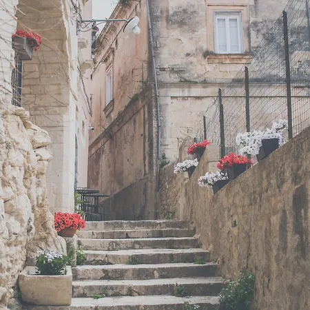 사비니리카 게스트하우스