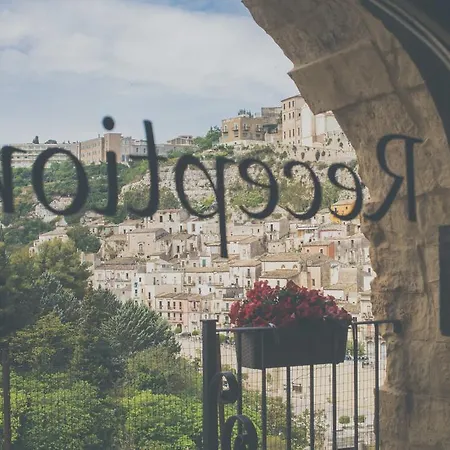 사비니리카 라구사