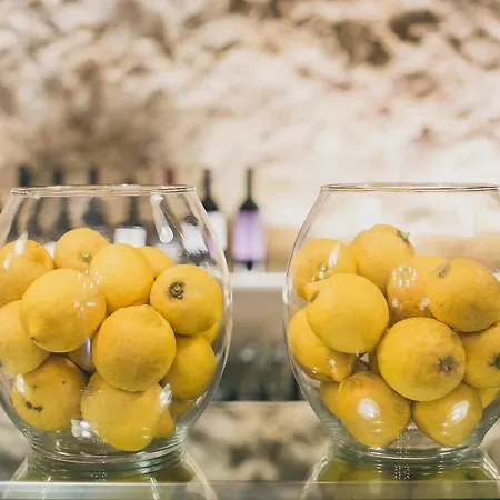 게스트하우스 사비니리카 4*